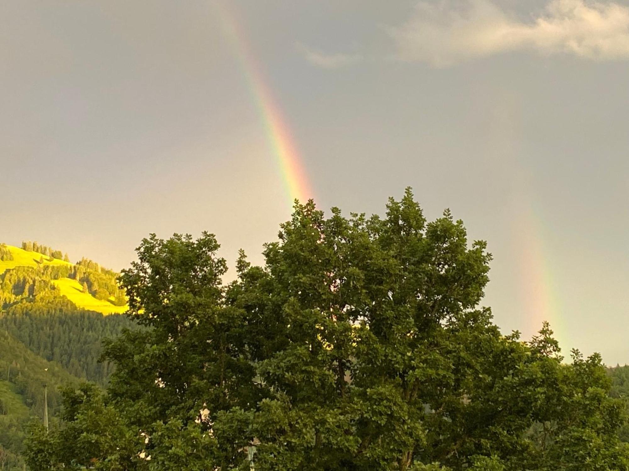 Ferienwohnung Schönblick Schönau im Schwarzwald Exterior foto